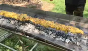 دستورپخت جوجه کباب زعفرانی بزرگ