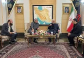 ورود وزیر کشور پاکستان به تهران با استقبال مومنی
