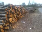 قاچاقچیان چوب در ازنا دستگیر شدند