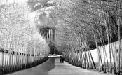 تهران هفتاد سال پیش از نمای آسمان / چگونه از تلفن همراه هوشمند کمتر استفاده کنیم؟ / چرا بهتر است آپشن پارک اتوماتیک را انتخاب کنید؟ / ژن‌هایی که بعد از مرگ فعال می‌شوند