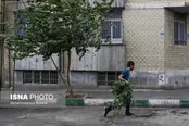 بارش پراکنده باران در استان‌های شمالی طی فردا
