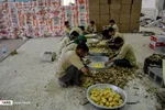 تهیه و توزیع غذا میان سیل زدگان