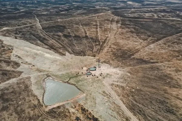 پامپا، تگزاس، ایالات متحده آمریکا ـ پس از آتش سوزی Smokehouse Creek در نزدیکی Pampa، گاوها روی یک تکه کوچک علف سبز که توسط زمین سوخته احاطه شده است چرا می کنند.