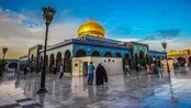 کدام تکفیری‌ها بااخلاق‌تر بودند؟!