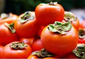 پاکسازی کبد از سموم با خرمالو