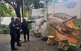 استفاده اسرائیل از تمساح برای جنگ با فلسطینی ها/ چرا شاه ایران به صهیونیست‌ها گوزن و الاغ اهدا کرد؟