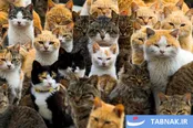 عکس: لحظه‌های ماندگار تاریخ _ ۲
