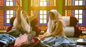 پناه ؛ محسن چاوشی