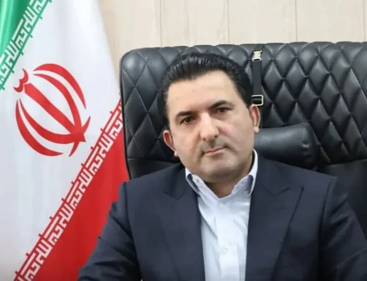 صادرات مرغ مشروط شد