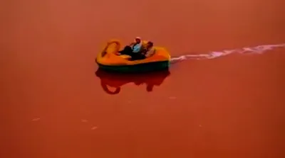 تصاویر مهارلو صورتی‌ترین دریاچه ایران‌!