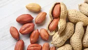با مصرف این آجیل لاغر شوید