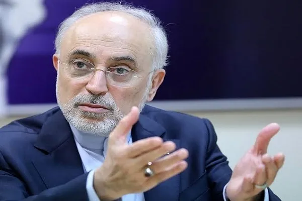 ایران پیروزمندانه از بحران کنونی خارج می‌شود/ بهای سنگینی می‌پردازیم!