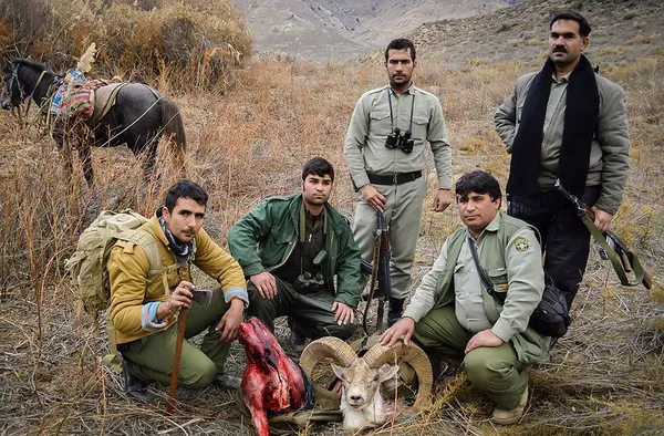 با تلاش شبانه روزی محیط بانان پارک ملی گلستان، شکارچیان غیر مجاز در این پارک ملی شناسایی و دستگیر شدند./MNA
