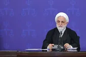 محسنی اژه‌ای: آغوش وطن به روی میهن‌دوستان باز است