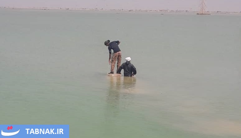 ماهیگیری