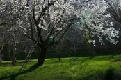 روستای درو از توابع شهرستان خلخال