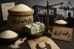 واردات برنج برای تازه وارد‌ها / خطر ورود کالا‌های بی‌کیفیت به سفره‌های مردم!