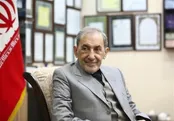 ولایتی: اسرائیل برای پایانش عجله دارد!
