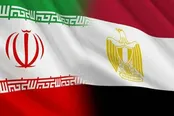 نخست‌ وزیر سوریه وارد تهران شد
