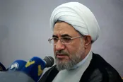 طعنه سنگین یک روزنامه به عضو مجلس خبرگان