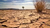 خطر بیابانی شدن ایران را تهدید می‌کند