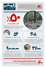 رقم خبر: 308 مورد مرگ با قرص برنج