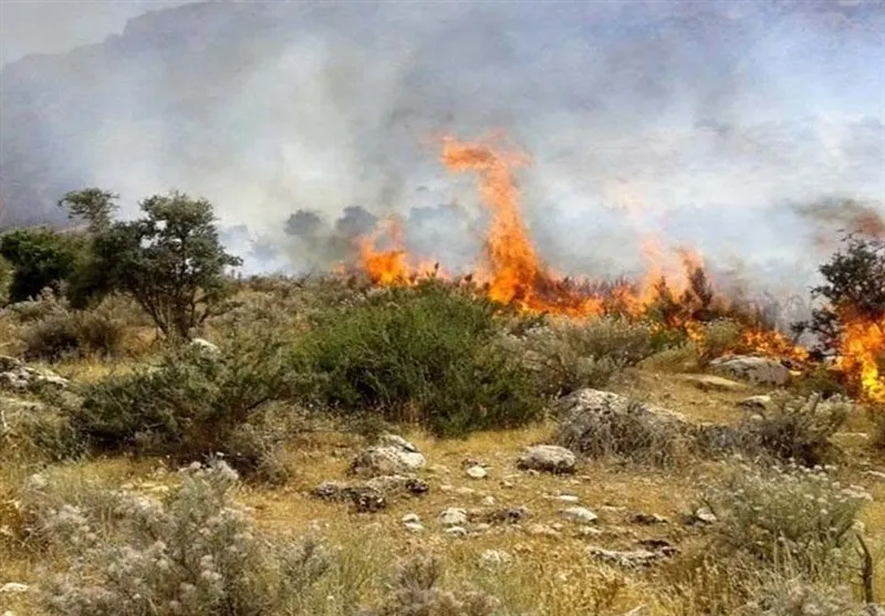 آتش برای دهمین بار در میانکاله زبانه کشید