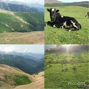 ییلاقات زیبای گیلان،ماسال،روستای چسلی