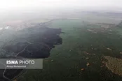 ادامه آتش‌سوزی در بخش عراقی هورالعظیم