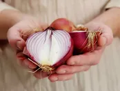 خانم‌ها برای جلوگیری از این سرطان پیاز بخورند!